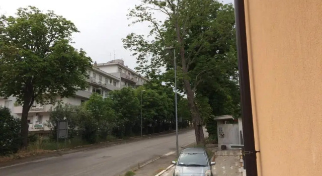 Апартаменты Antonella's House