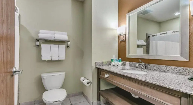 Люкс Holiday Inn Express & Suites Lubbock Southwest   Wolfforth by IHG