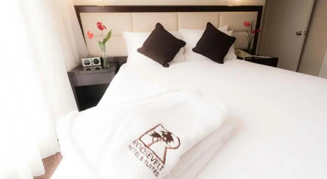 Люкс Roosevelt Hotel & Suites