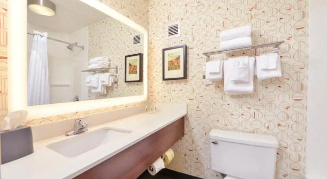 Номер Standard Holiday Inn Auburn-Finger Lakes Region, NY