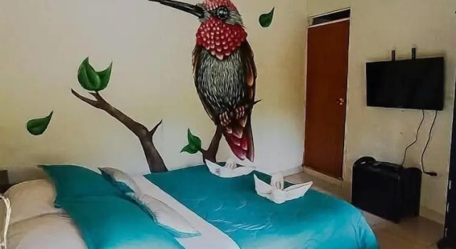Номер Standard Дуплекс c 1 комнатой EcoHotel Colibrí Armenia - Salento