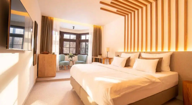 Номер Standard Boutique Hotel Soyka