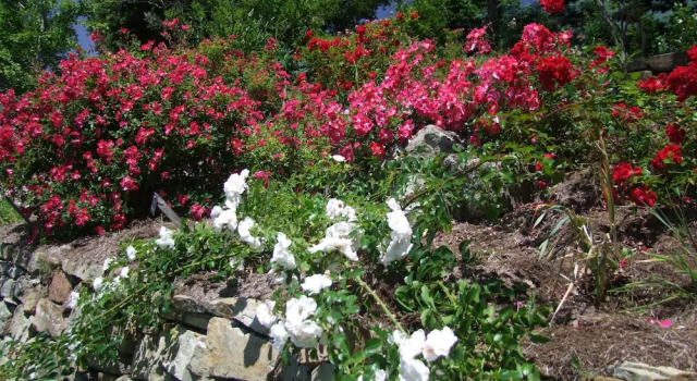 Номер Superior Les Jardins de lAbbaye