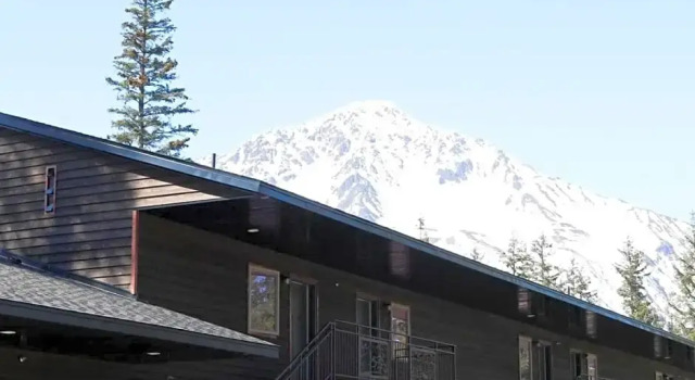 Студия Spruce Lodge