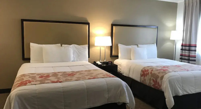 Четырёхместная студия Hawthorn Suites