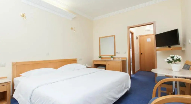 Одноместный номер Standard Telioni Hotel