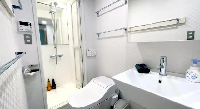 Апартаменты Цокольный этаж Nozawa Onsen BASECAMP
