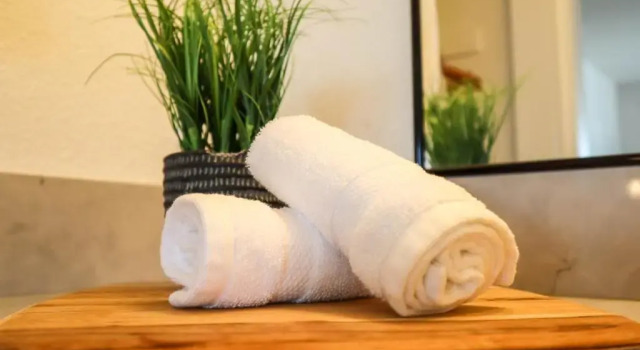 Номер Standard The Surfbreak Hotel