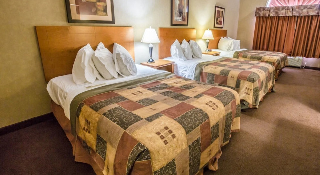 Трёхместный номер Standard Canalta Hotel Stettler