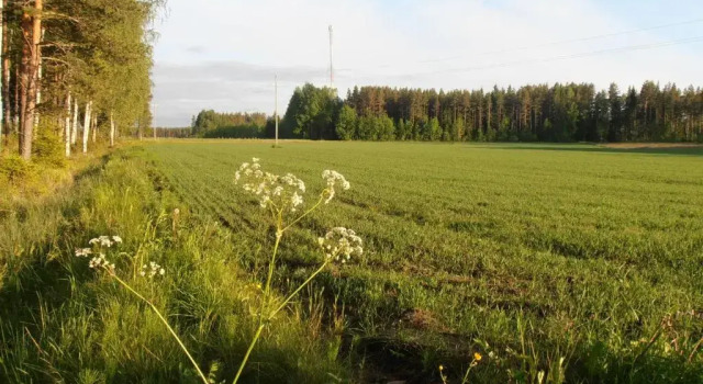 Коттедж Kalliomajat