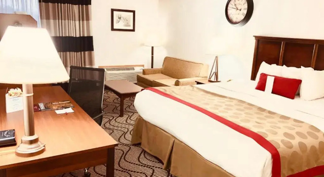Номер Standard Ramada by Wyndham Birmingham Airport