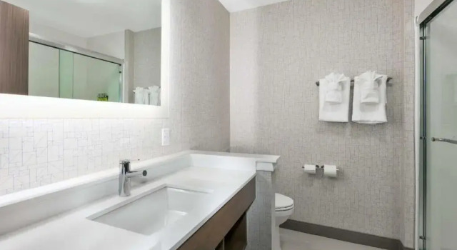 Номер Standard Holiday Inn Express & Suites - Grand Rapids Airport - South by IHG