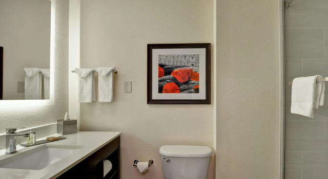 Четырёхместный номер Standard DoubleTree by Hilton Hattiesburg, MS