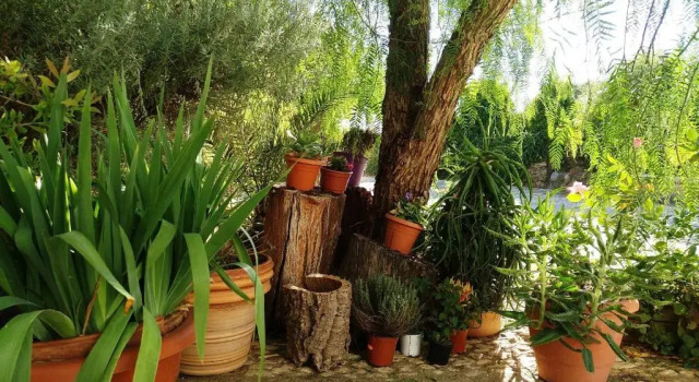 Коттедж c 1 комнатой Casa con encanto en Alájar