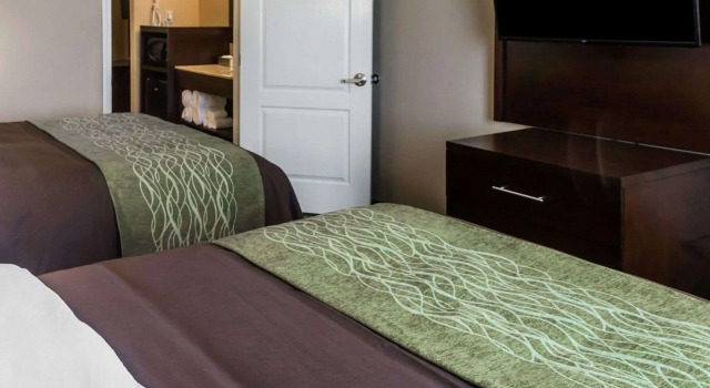 Четырёхместный люкс Comfort Inn & Suites Pharr - McAllen
