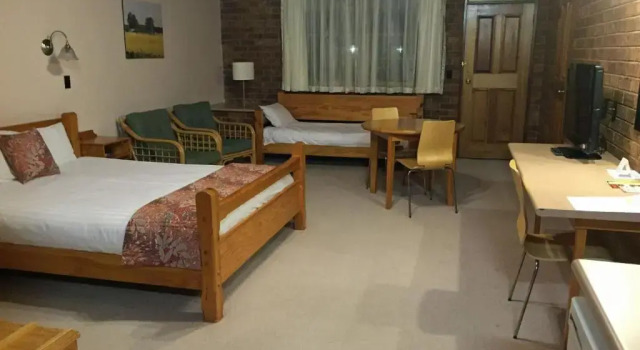 Люкс Standard Coonawarra Place Motor Inn