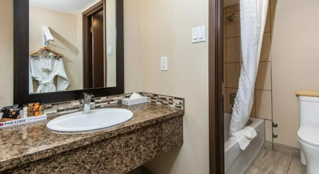 Номер Business Paradise Inn & Conference Centre