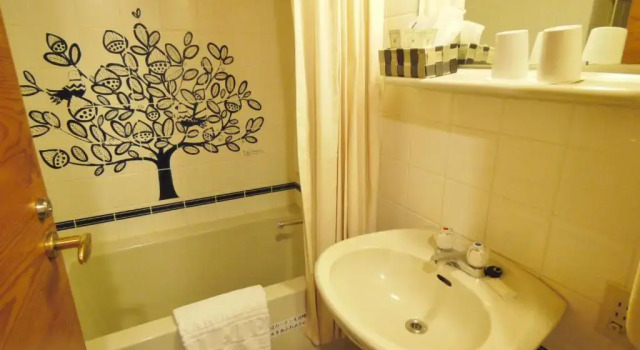Двухместный номер Standard Kyu-Karuizawa Hotel Shinonome