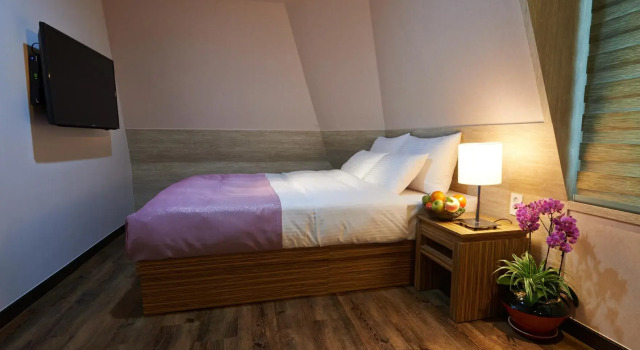 Двухместный номер Standard Hotel Four Seasons