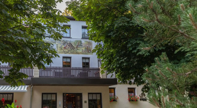 Waldgasthof & Hotel Am Sauwald, Rezervovat Hotel Tannenberg Ore Mountains