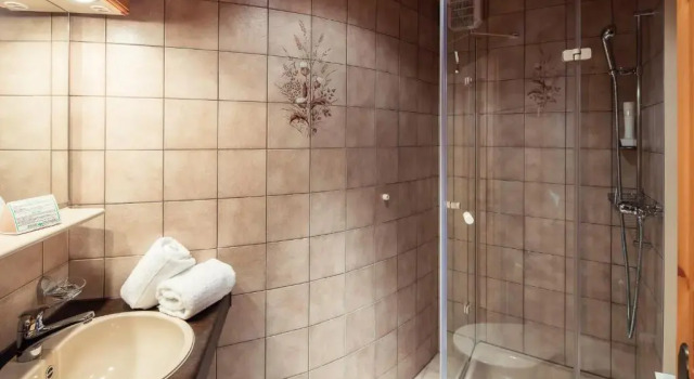 Номер Standard Wellnesshotel Engadin