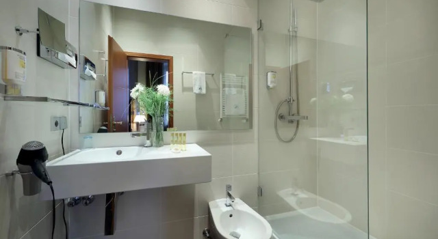 Одноместный номер Standard Eurostars Park Hotel Maximilian