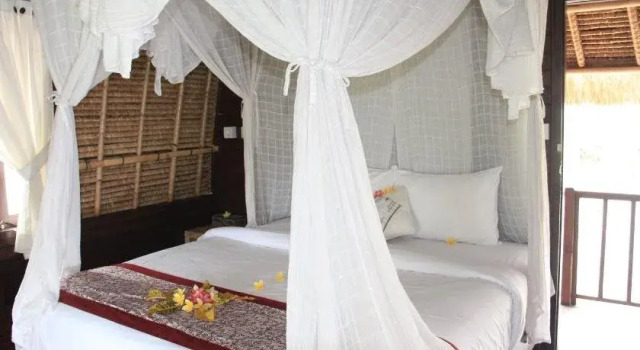 MolaMola House, Rezervovat Hotel Hotely v Bali se snídaní, Snídaně