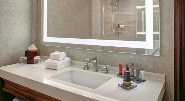 Шестиместный номер Standard Detroit Marriott Southfield