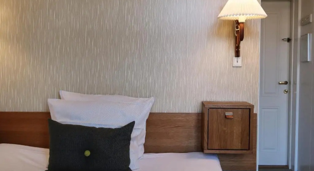 Habitación individual Superior Hotel Alexandra