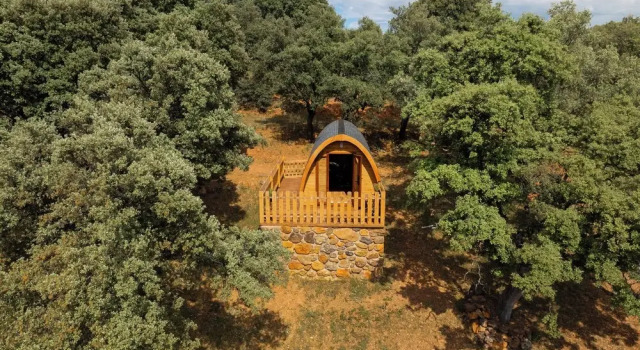 Номер Standard CORK VALLEY