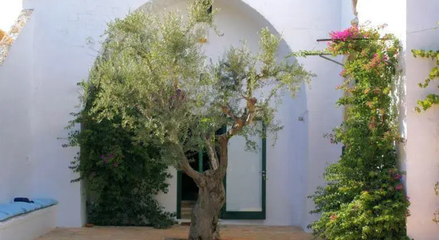 Masseria Sacerdote B&B, Buchen Sie Bed & Breakfast Castellana Grotte Metropolitanstadt Bari