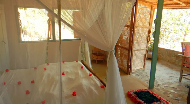 Mango Drift Lodge - Hostel, Book Hostel Hotels in Northern region with Breakfast, Breakfasts