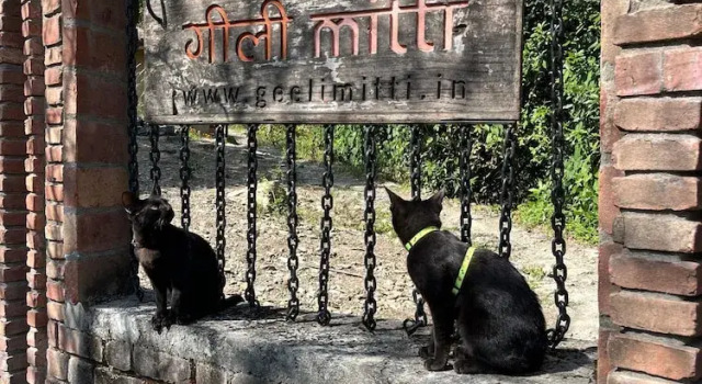 Geeli Mitti, Rezervovat Hotel Nainital Uttarakhand