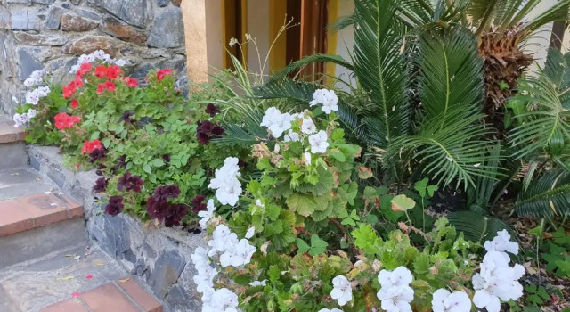 Номер Deluxe Borgo San Francesco