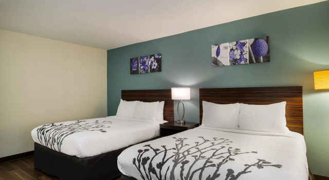 Четырёхместный номер Standard Sleep Inn Savannah Midtown