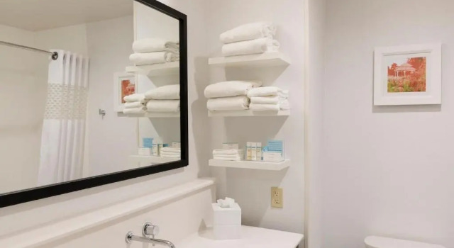 Люкс Hampton Inn Mount Pleasant