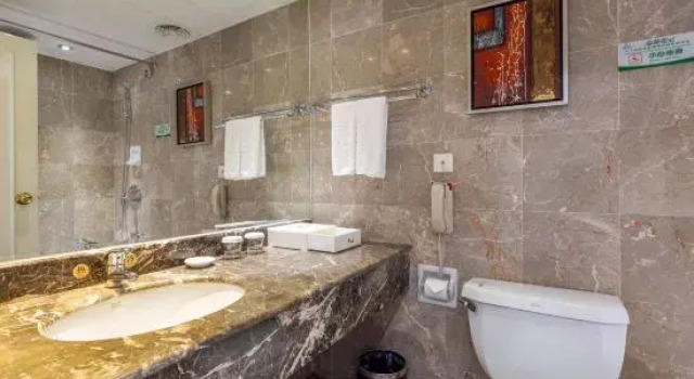 Двухместный номер Business Tian Long Hotel