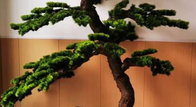 Yinniujiang Wuzhifeng Hotel, Prenota Hotel Hotel a Anhui con parcheggio, Parcheggio