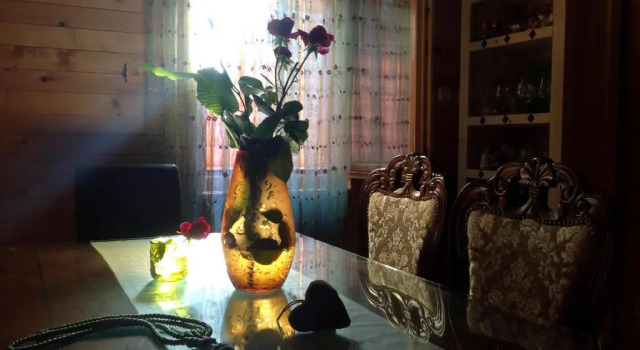 Lodge House Tara, Book Hotel Hotels in Kolasin County with Parking, Parking
