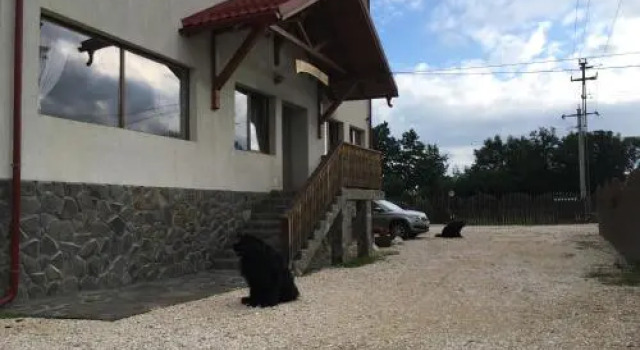 Pensiunea Aron 2, Rezervovat Hotel Hotely v Prahova Valley s parkováním, Parkování