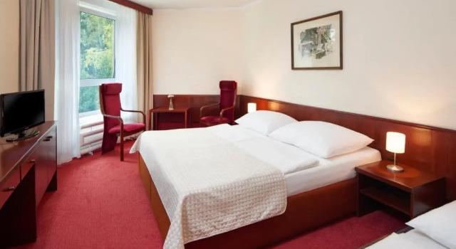 Номер Standard Wellness Hotel Svornost
