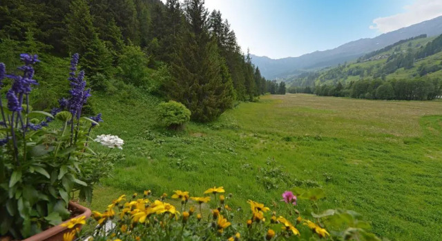 Двухместный номер Standard Hotel Le Petit Abri