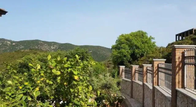 "La Pavoncella" Chia - Domus de Maria