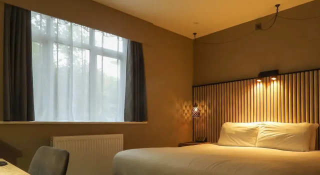 Номер Standard Цокольный этаж South Lawn Hotel