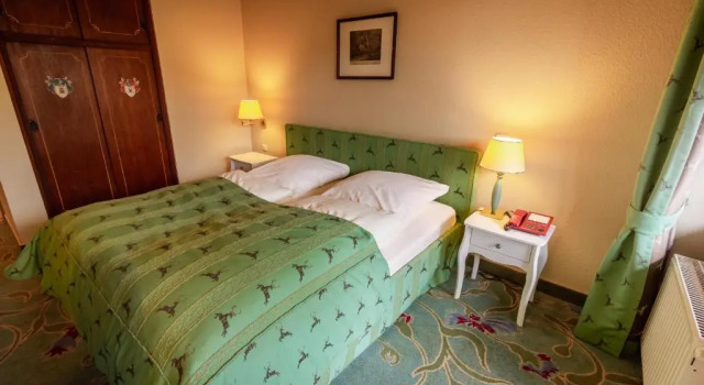 Двухместный номер Standard Hotel-Restaurant Burg Hornberg