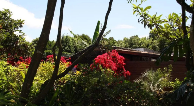 Quinta de São Caetano - São Miguel Açores