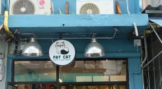 Fat Cat Hostel