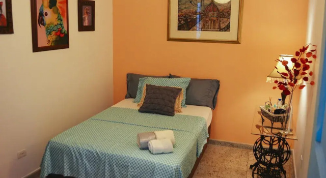 Standard Single room with garden view Magic Garden House