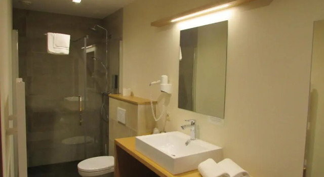 Двухместный номер Standard Hôtel La Métairie