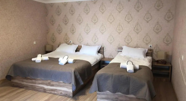 Номер Standard Wander Kazbegi Hotel